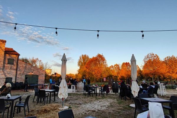 campo dei girasoli